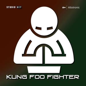 Kung Fu Fighter