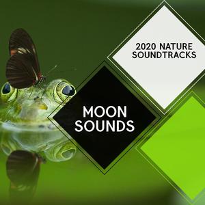 Moon Sounds - 2020 Nature Soundtracks