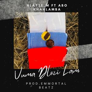 Vuma Dlozi Lam (feat. Abo Khahlamba & Emmortal Beatz)