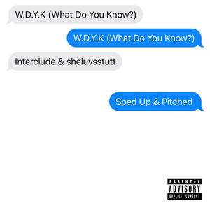 W.D.Y.K? (Sped Up & Pitched) (Explicit)