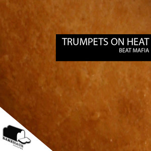 Trumpets On Heat (3hundreds Remix)