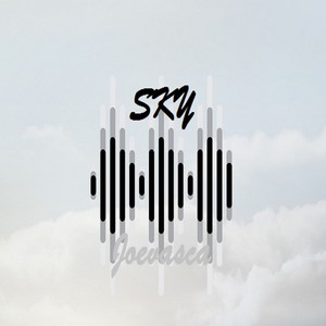 SKY (Radio Edit) [Explicit]