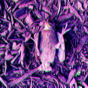 Too Many Two Faced (feat. Monte Alkanas) (Explicit)