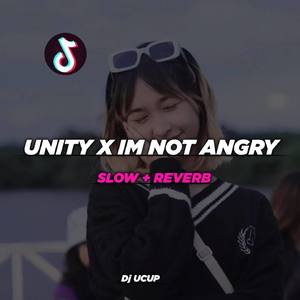 DJ UNITY X IM NOT ANGRY - INST