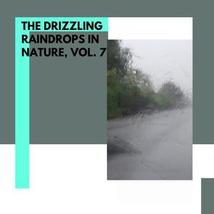 The Drizzling Raindrops in Nature, Vol. 7