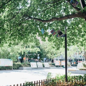 逐梦 (remix: 盐道街小学卓锦分校校歌|Remix)