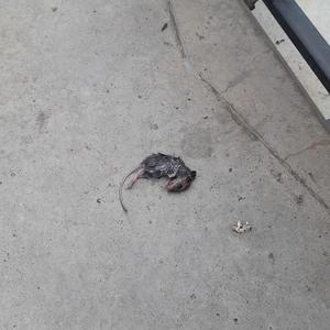 Nie Każdy Mnie Lubi (Explicit)