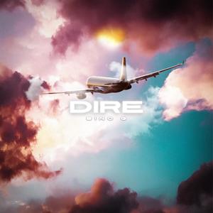 D.I.R.E (Explicit)