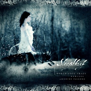 World Gone Crazy[feat. Coury Palermo] (Sandro Peres Dub Mix)
