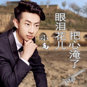 眼泪花儿把心淹了 - 李德红、小高封面