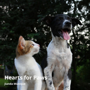 Hearts for Paws