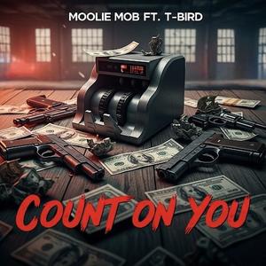 Count On You (feat. T-Bird) (Explicit)