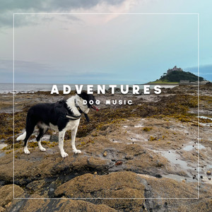 Adventures Dog Music