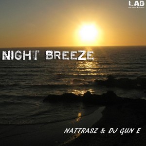 Night Breeze (Original Mix)