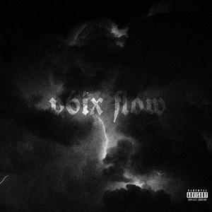 v6ix Flow (Explicit)