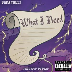 What I Need (Explicit)