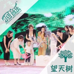 望天树 (制作人：小可)