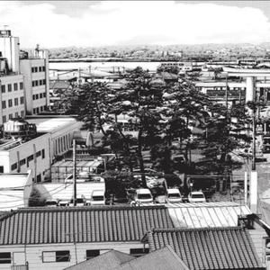 In the trees (feat. Foman & Zelma) (Explicit)