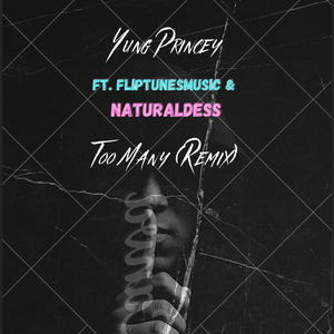 Area Codes (feat. Fliptunesmusic) (Remix|Explicit)