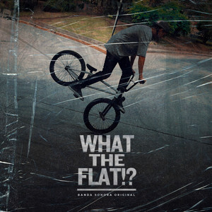 WHAT THE FLAT!?