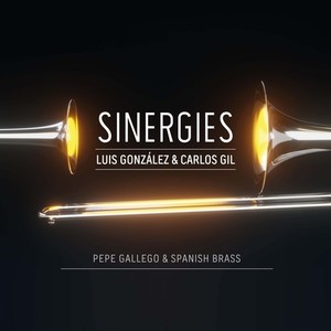 Sinergies