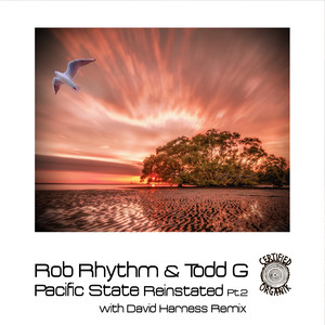 Pacific State Reinstated Pt.2 (Rob's Rhythm Afro Mix)