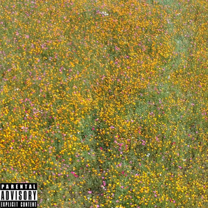 Dusse & Cranberry(Sex Machine) (Explicit)