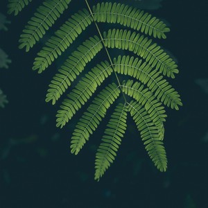 忽然之间