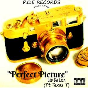 Perfect Picture(feat. Texas T) (Explicit)