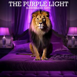 THE PURPLE LIGHT