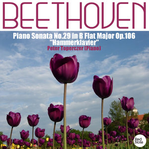 Beethoven: Piano Sonata No.29 in B Flat Major Op.106 "Hammerklavier"