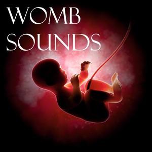 Womb Sounds