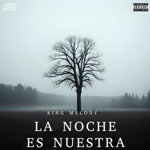 La Noche es Nuestra