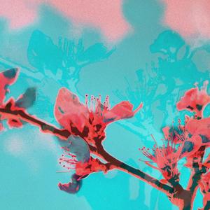 Will Not Change(feat. Cole in the Clouds)