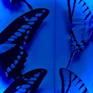 Everlasting (Explicit)