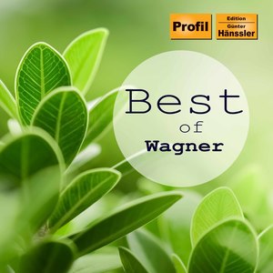 WAGNER, R.: Best of Wagner (Ahronovitch, Bulgakova, Hoteev, Lehel, Leitner, Windgasse)