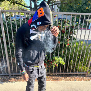 Shark attacc (Explicit)