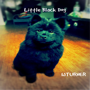 Little Black Dog (Explicit)