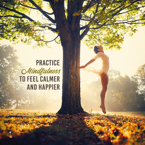 Practice Mindfulness to Feel Calmer and Happier: Cleanse Negative Energy, Stabilize Yourself, Yoga & Meditation Music