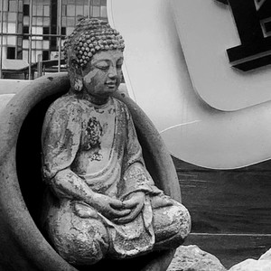 COSA PARLI VOLUME BASSO