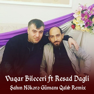 Şahin Nökərə Gümanı Qalıb (Remix)