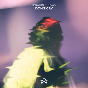 Dont Cry