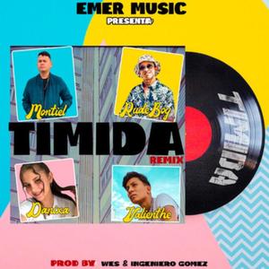 Timida (feat. valienthe, Danixa & Rudeboy) [Remix]