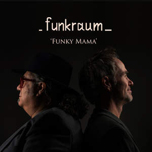 Funky Mama (with Dave Breidenbach, Frank Stukker, Gijs Anders Van Straalen, Jeroen van Helsdingen & Willem Smid)