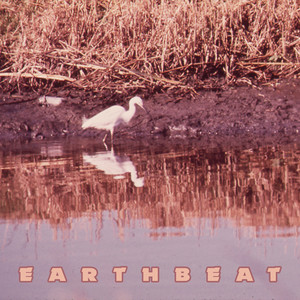 Earthbeat