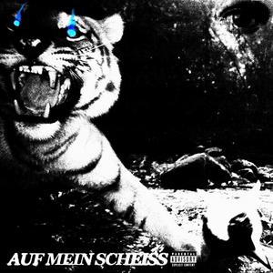 AUF MEIN SCHEISS (feat. yootwinzy) (Explicit)