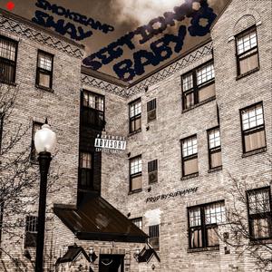 Section 8 Baby (Explicit)