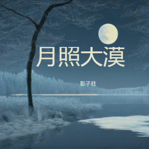 月照大漠