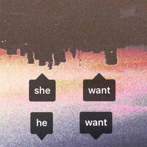 She Want, He Want (Explicit)