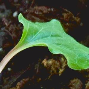 make a move (Explicit)